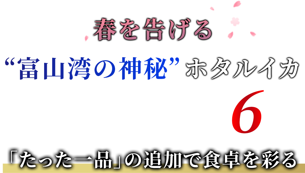 お取り寄せ料亭 とみやま ほたるいか